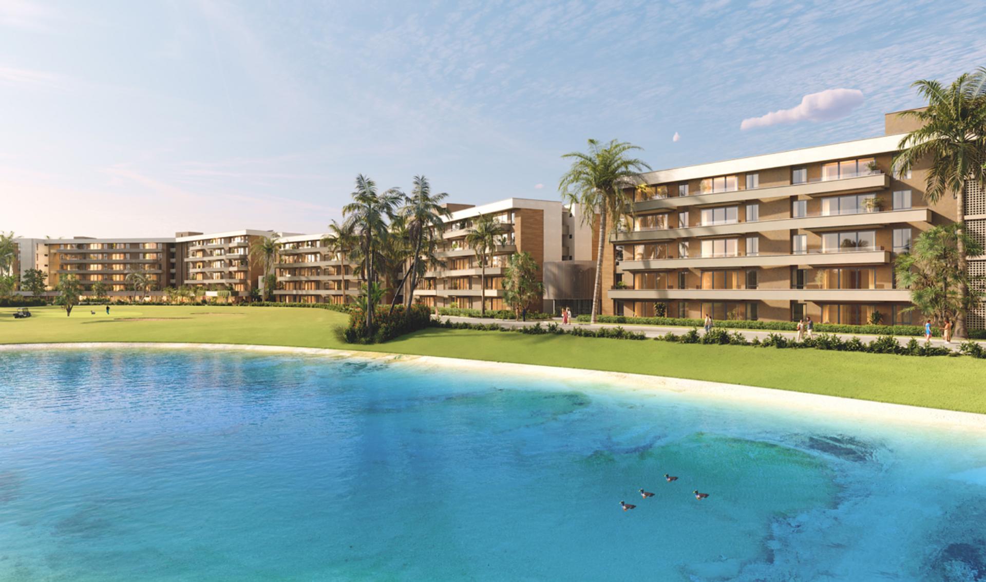 Palm View